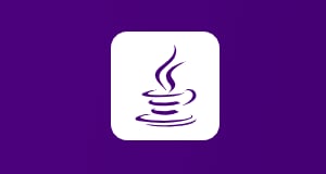 Java Developer. Professional