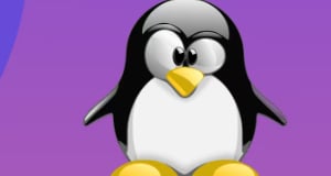 Основы Linux (С наставником)